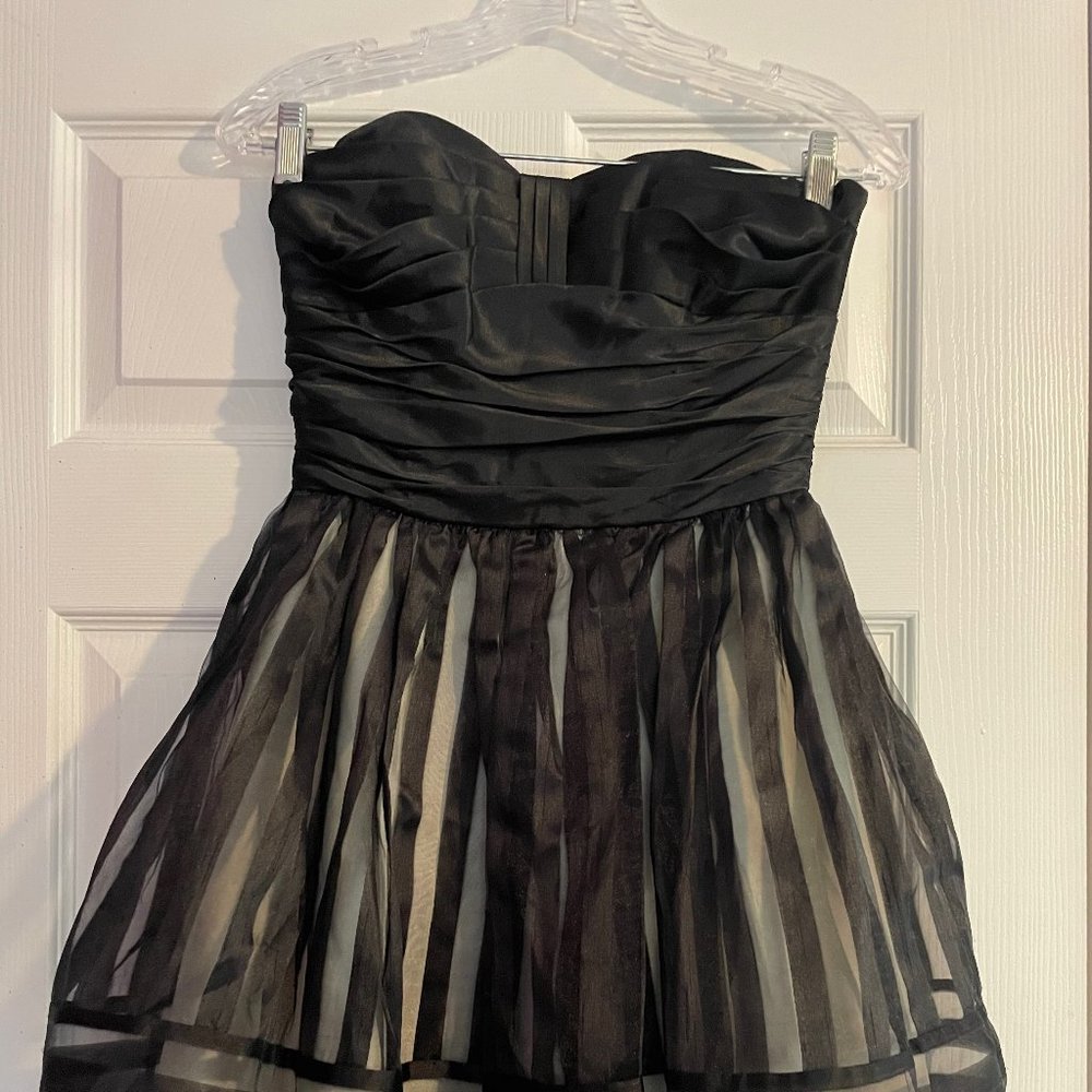 Betsy Johnson Tulle Fit & Flare Dress (Great condition!)